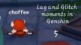 Lag and Glitch moments in Genshin Impact 5