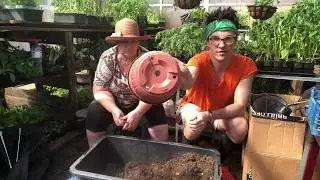 Миняева Юлия и Илья Миняев / шок!!! посадил ПЕТУНИЮ , а вырос ТОМАТ! семейные посиделки