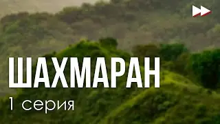 Шахмаран: 1 серия (новый турецкий сериал) - сериальный онлайн подкаст, когда смотреть?