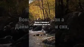 1. Даймахках лаьцна. ГIиллакхийн хазна – Ирсан некъаш