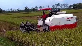 MESIN PANEN COMBINE AW 70 V