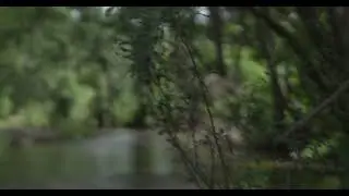 FREELENSING TEST 22