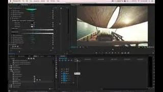 DELUTS: Lincoln: How to add LUTS in Adobe Premiere. LUT Of The Day.