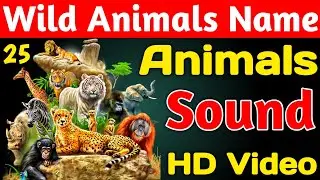 25 wild animals name, 25 जंगली जानवरों के नाम, wild animals sound, wild animals video, animals name