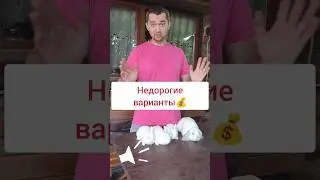 ✅Недорогие декоративные кролики ✅