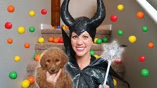 Maleficent Uses MAGIC And Gets A Cute Puppy!