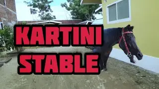 PLAY AT KARTINI STABLE || THE FASTEST HORSE RACE IN WEST SULAWESI || SULAWESI DERBY EVENT 2022