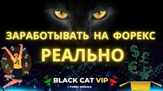 Форекс сигналы. BLACK CAT