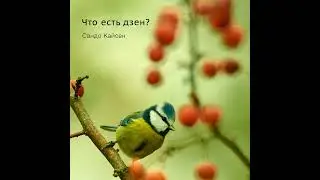 Мастер Сандо Кайсен – Что есть дзен? | Отрывок из аудиокниги