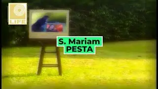 S. Mariam - Pesta (Official Karaoke Video)
