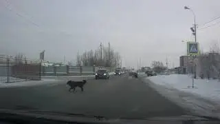 ПДД, пункт 4.5
