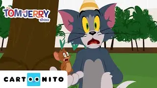 Geburtstagspartydesaster | Tom und Jerry | Cartoonito