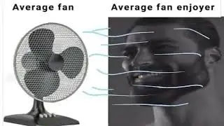 Average Fan vs Average Fan Enjoyer