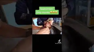 СМЕШНЫЕ ОБЕЗЬЯНКИ!😂😂😂 