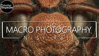 High Magnification Macro Photography with Nisi Macro Rail