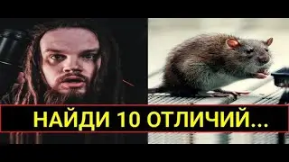 АФЕРИСТ LEOS HELLSCREAM ACADEMY | полное разоблачение