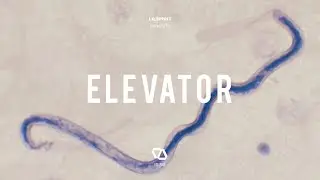 lilspirit - parasite