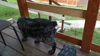 Сочи. Горное Лоо. Вечер. +25°C. 13.06.2023г.©