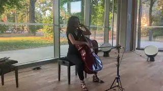 Soizic Lebrat solo