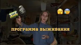 ВЫЖИВАТЬ или ЖИТЬ? Симптомы программы. Выход в изобилие 🌱✨