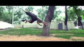 ImaginationLand-ZyulevAlexander ''On the Tree