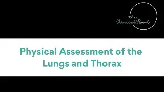 Physical Assessment of the Lung and Thorax assessment  - RN Health Assessment