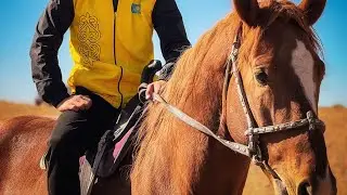 Чёрный лошадь 🖤💣🐎