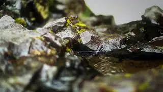 Ma'rufxon domla Hafizahulloh | Arshni ko'tarib turguvchi farishtalar haqida.