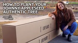 How to Plant Your Johnny Appleseed Authentic Apple Tree | Planting Bare Root and Container Trees