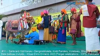 #11 Sankranti Celebrations Gangireddulatalu, Bhogi Mantalu etc at Int Delhi Public School Kakinada
