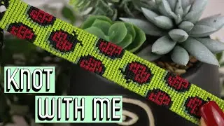 LADYBUG BRACELET [CC] || Knot With Me