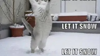 Let It Snow! Let It Snow! Let It Snow!