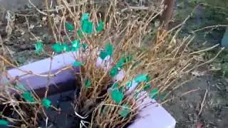 ПОДАРКИ ДЛЯ НАШИХ ЗАКАЗЧИКОВ!))) НЕ СТЕСНЯЙТЕСЬ В ЖЕЛАНИЯХ!)))