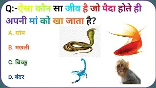 Gk Questions And Answers || Gk Quiz || Gk ke sawal || General Knowledge || Gk Questions In Hindi| 5