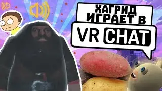 ХАГРИД ИГРАЕТ В - (VRCHAT)