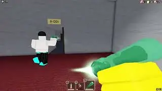 I ENTERED THE ROOMS IN ROBLOX DOORS
