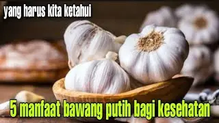 5 MANFAAT BAWANG PUTIH BAGI KESEHATAN, yang harus kita ketahui
