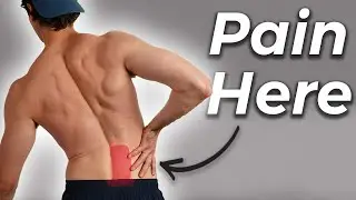Quadratus Lumborum (QL) Pain | Lower Back Rehab