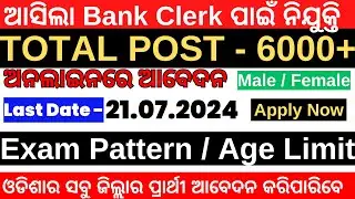 ଆସିଲା Bank Clerk 6128 ନିଯୁକ୍ତି/Odisha Govt Jobs/JOBS  update/Job Vacancy | | IBPS CRP 2024