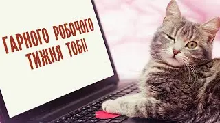 Бажаю тобі гарного робочого тижня! Бажаю гарного дня!