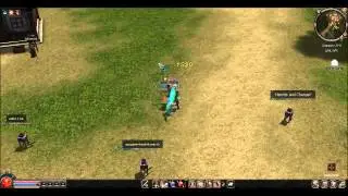 Metin2 SG AKSAK damage
