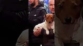 Сколько стоит мороженое в ГУМе? Нажмите два раза на экран. Москва.