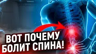 От чего возникают БОЛИ В СПИНЕ