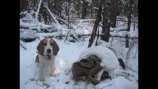 Начало зимы.01.12. Белая тропа.