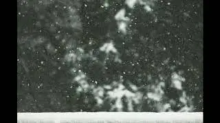 [FREE] Lofi Beat 'Cold Winter' prod:coolex