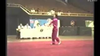 1995年全国武术套路锦标赛（传统项目）06 08