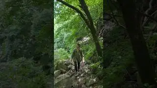 이끼숲에서의 힐링 등산 🌿💚⛰️ #용문산 #산행 #shorts