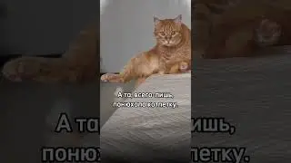 😁Когда сдуру хотел откусить КОТЛЕТУ 