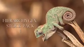HierarchyGFX Stock Pack I  - Link in the Description!