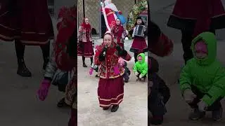 Ёлочки пенечки гр. Бояре 